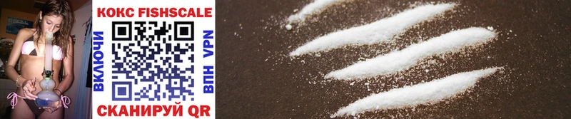 закладки  дарк нет формула  Cocaine Эквадор  Ирбит 