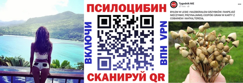 Галлюциногенные грибы мухоморы  купить  сайты  KRAKEN как войти  Ирбит 